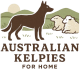 Australian Kelpie For Homes
